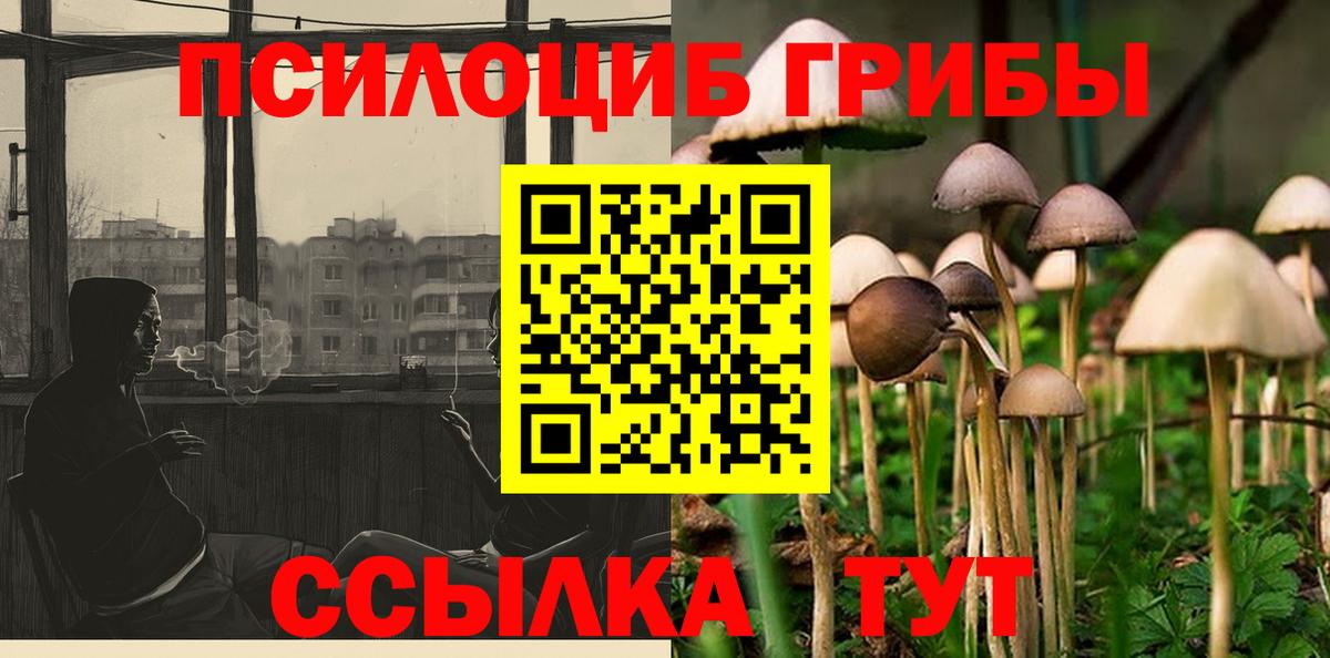 Дятьково  Галлюциногенные грибы MAGIC MUSHROOMS  Вход с VPN 